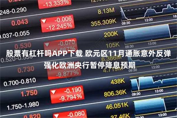 股票有杠杆吗APP下载 欧元区11月通胀意外反弹 强化欧洲央行暂停降息预期
