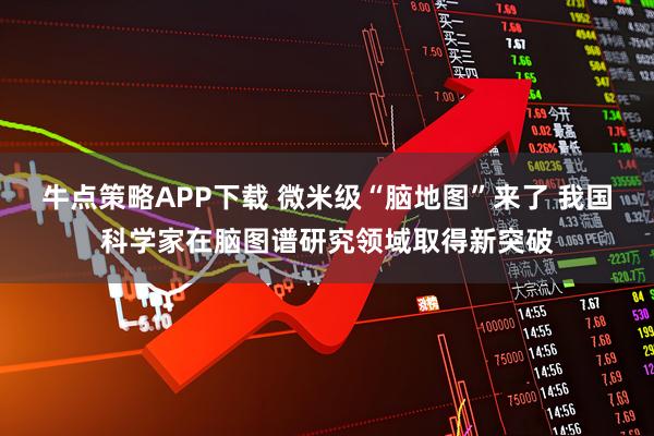 牛点策略APP下载 微米级“脑地图”来了 我国科学家在脑图谱研究领域取得新突破