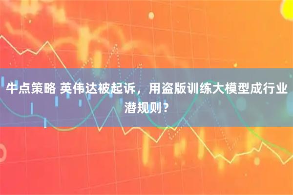 牛点策略 英伟达被起诉，用盗版训练大模型成行业潜规则？