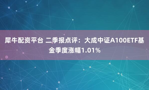 犀牛配资平台 二季报点评：大成中证A100ETF基金季度涨幅1.01%