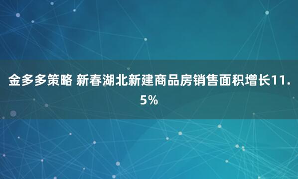 金多多策略 新春湖北新建商品房销售面积增长11.5%