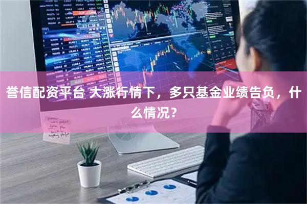 誉信配资平台 大涨行情下，多只基金业绩告负，什么情况？