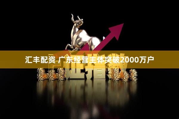 汇丰配资 广东经营主体突破2000万户